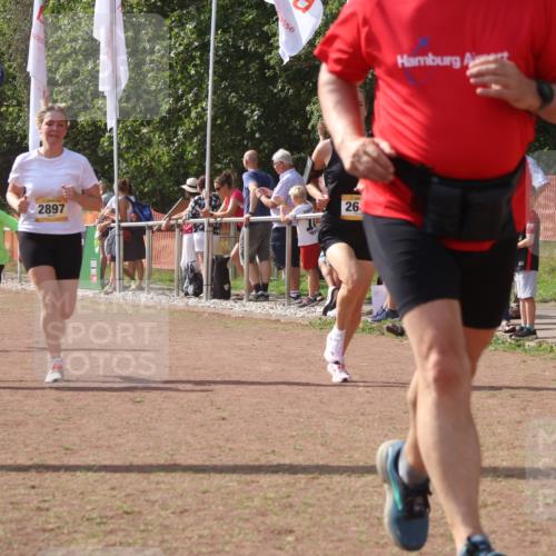 08.09.2024 - Airport Race Strokosch-Dieckow http://msf.ph/oto/6979471 08.09.2024 12:13:05 Ziel 1012, 2504, 2592, 2640, 2839, 2851, 2869, 2897 meine-sportfotos.de