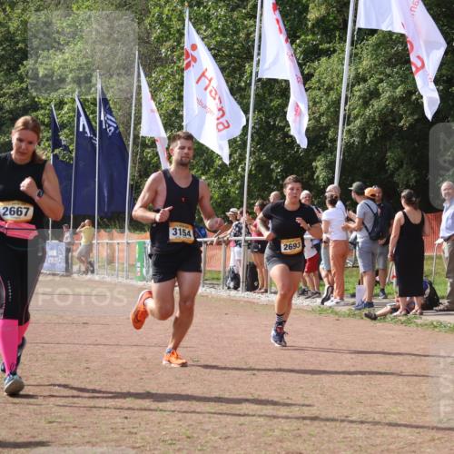 08.09.2024 - Airport Race Strokosch-Dieckow http://msf.ph/oto/6979755 08.09.2024 12:13:38 Ziel 2667, 2693, 2787, 3069, 3154 meine-sportfotos.de