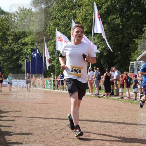 08.09.2024 - Airport Race Strokosch-Dieckow http://msf.ph/oto/6979985 08.09.2024 12:14:08 Ziel 2660, 2743, 2765, 3003, 3078, 3146 meine-sportfotos.de