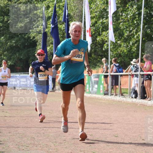 08.09.2024 - Airport Race Strokosch-Dieckow http://msf.ph/oto/6980507 08.09.2024 12:15:21 Ziel 175, 218, 1290, 2590, 2615, 3085 meine-sportfotos.de