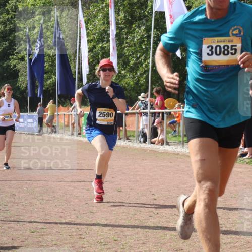 08.09.2024 - Airport Race Strokosch-Dieckow http://msf.ph/oto/6980536 08.09.2024 12:15:23 Ziel 175, 1290, 2545, 2590, 2615, 3085 meine-sportfotos.de