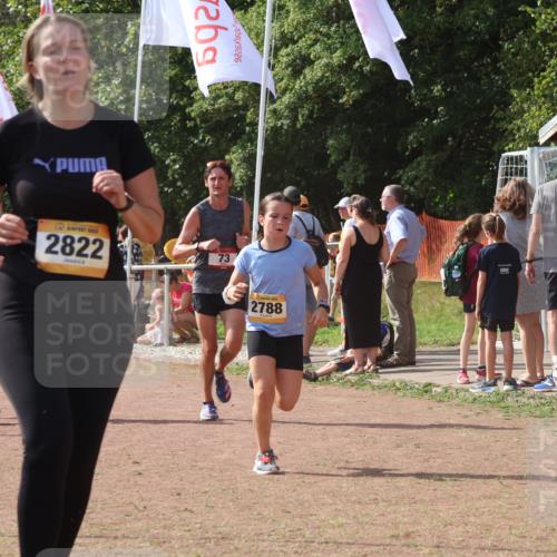 08.09.2024 - Airport Race Strokosch-Dieckow http://msf.ph/oto/6980689 08.09.2024 12:15:34 Ziel 73, 2545, 2630, 2788, 2822, 2888, 3072 meine-sportfotos.de