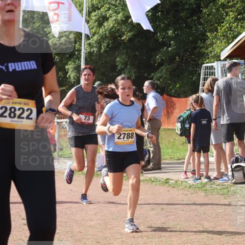 08.09.2024 - Airport Race Strokosch-Dieckow http://msf.ph/oto/6980693 08.09.2024 12:15:35 Ziel 73, 2545, 2630, 2788, 2822, 2850, 2888, 3072 meine-sportfotos.de