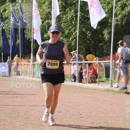 08.09.2024 - Airport Race Strokosch-Dieckow http://msf.ph/oto/6980736 08.09.2024 12:15:38 Ziel 73, 974, 2630, 2788, 2822, 2850, 2888, 3072 meine-sportfotos.de