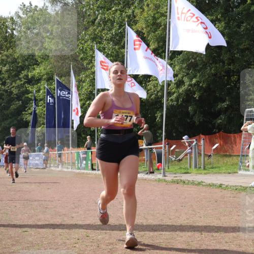 08.09.2024 - Airport Race Strokosch-Dieckow http://msf.ph/oto/6980901 08.09.2024 12:43:56 Ziel 416, 440, 934, 1177, 1429, 1529, 3133 meine-sportfotos.de