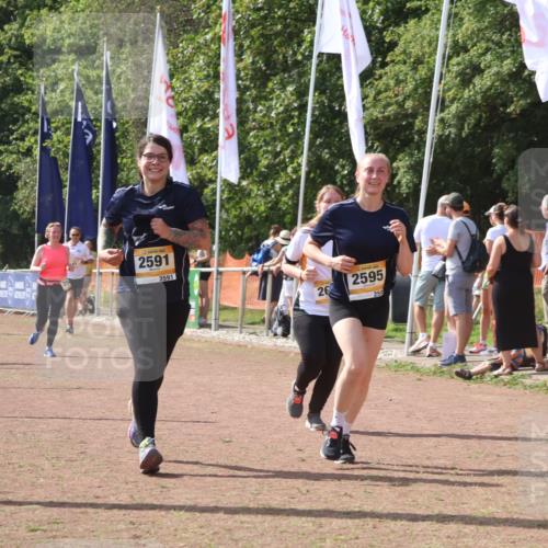 08.09.2024 - Airport Race Strokosch-Dieckow http://msf.ph/oto/6980998 08.09.2024 12:15:57 Ziel 225, 276, 2540, 2541, 2543, 2578, 2591, 2595, 2604, 2645, 2854, 2861 meine-sportfotos.de