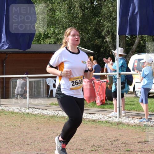 08.09.2024 - Airport Race Strokosch-Dieckow http://msf.ph/oto/6981034 08.09.2024 12:16:01 Ziel 225, 276, 1020, 2540, 2541, 2543, 2591, 2595, 2604, 2645, 2799, 2827, 2854, 3057 meine-sportfotos.de