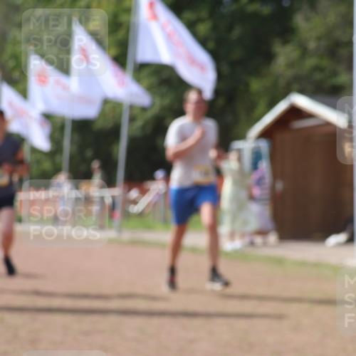 08.09.2024 - Airport Race Strokosch-Dieckow http://msf.ph/oto/6981092 08.09.2024 12:44:09 Ziel 481, 838, 929, 1063, 1103, 1139, 1408 meine-sportfotos.de