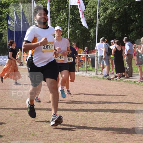 08.09.2024 - Airport Race Strokosch-Dieckow http://msf.ph/oto/6981161 08.09.2024 12:16:10 Ziel 1020, 2586, 2799, 2802, 2804, 2827, 3057 meine-sportfotos.de