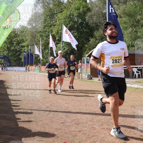 08.09.2024 - Airport Race Strokosch-Dieckow http://msf.ph/oto/6981186 08.09.2024 12:16:11 Ziel 1020, 2586, 2799, 2802, 2804, 2827 meine-sportfotos.de