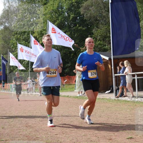 08.09.2024 - Airport Race Strokosch-Dieckow http://msf.ph/oto/6981523 08.09.2024 12:44:45 Ziel 376, 1152, 1183, 1244, 1336, 1379 meine-sportfotos.de