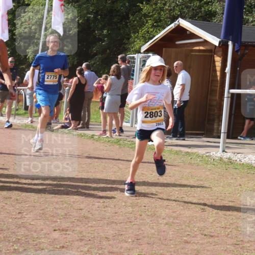 08.09.2024 - Airport Race Strokosch-Dieckow http://msf.ph/oto/6981723 08.09.2024 12:17:21 Ziel 163, 1224, 2511, 2574, 2610, 2663, 2664, 2774, 2775, 2803, 2882, 2884 meine-sportfotos.de