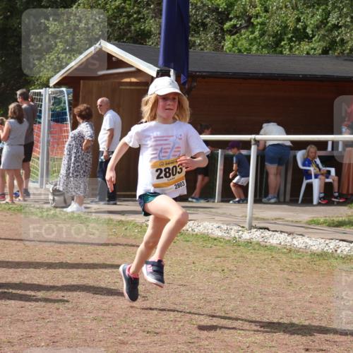 08.09.2024 - Airport Race Strokosch-Dieckow http://msf.ph/oto/6981730 08.09.2024 12:17:21 Ziel 163, 1224, 2511, 2574, 2610, 2663, 2664, 2774, 2775, 2803, 2882, 2884 meine-sportfotos.de