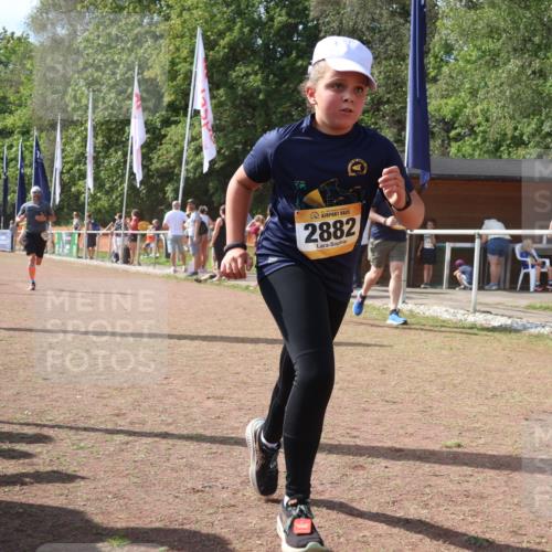 08.09.2024 - Airport Race Strokosch-Dieckow http://msf.ph/oto/6981800 08.09.2024 12:17:26 Ziel 1224, 2511, 2623, 2663, 2664, 2697, 2774, 2882, 2884 meine-sportfotos.de