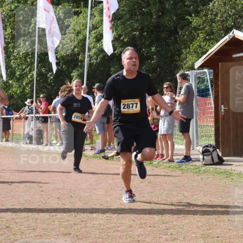 08.09.2024 - Airport Race Strokosch-Dieckow http://msf.ph/oto/6982066 08.09.2024 12:17:52 Ziel 312, 580, 2856, 2859, 2877, 3162 meine-sportfotos.de