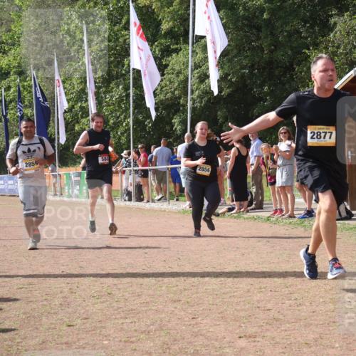 08.09.2024 - Airport Race Strokosch-Dieckow http://msf.ph/oto/6982074 08.09.2024 12:17:53 Ziel 312, 580, 2856, 2859, 2877, 3162 meine-sportfotos.de