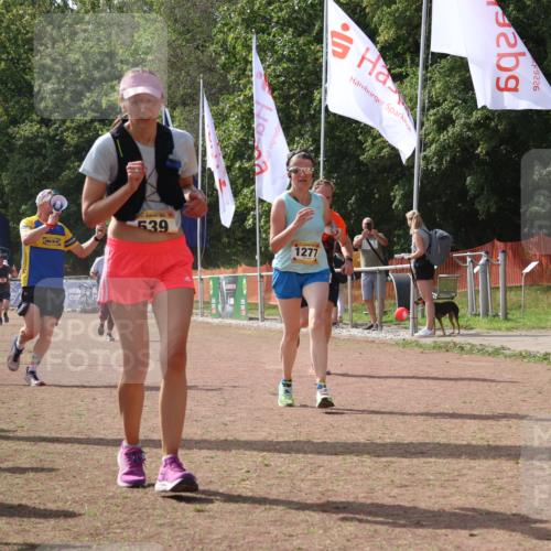 08.09.2024 - Airport Race Strokosch-Dieckow http://msf.ph/oto/6982165 08.09.2024 12:45:44 Ziel 539, 664, 776, 1180, 1277, 1497 meine-sportfotos.de