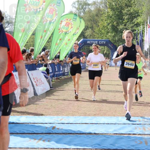 08.09.2024 - Airport Race Strokosch-Dieckow http://msf.ph/oto/6982458 08.09.2024 12:13:11 Ziel 50, 1012, 2504, 2592, 2640, 2668, 2839, 2851, 2869, 2897 meine-sportfotos.de