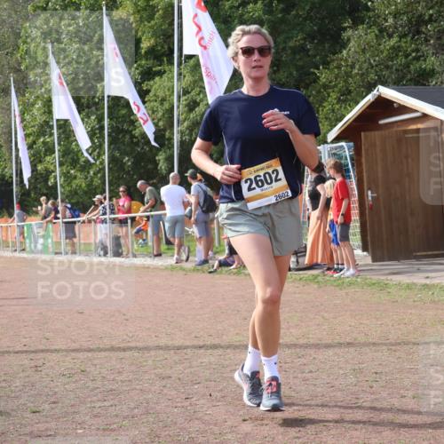 08.09.2024 - Airport Race Strokosch-Dieckow http://msf.ph/oto/6982783 08.09.2024 12:19:23 Ziel 413, 2517, 2602, 2734 meine-sportfotos.de