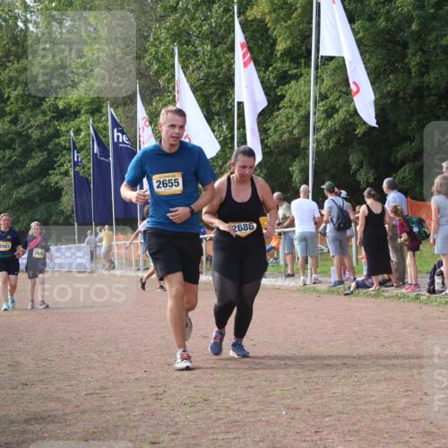 08.09.2024 - Airport Race Strokosch-Dieckow http://msf.ph/oto/6983054 08.09.2024 12:19:53 Ziel 45, 117, 200, 620, 2507, 2626, 2655, 2686 meine-sportfotos.de