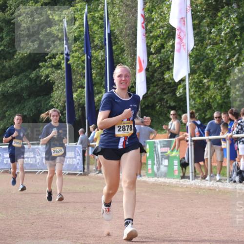 08.09.2024 - Airport Race Strokosch-Dieckow http://msf.ph/oto/6983504 08.09.2024 12:20:47 Ziel 478, 2594, 2828, 2878, 3056 meine-sportfotos.de