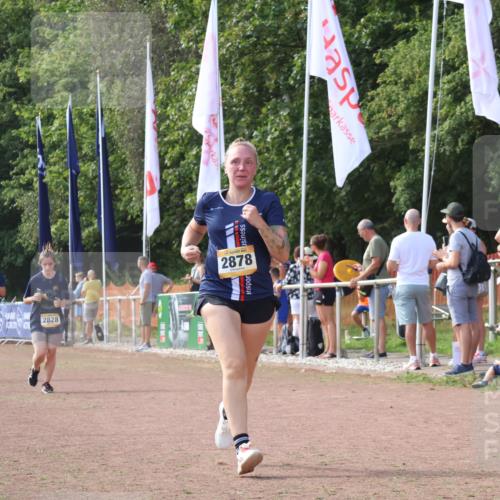 08.09.2024 - Airport Race Strokosch-Dieckow http://msf.ph/oto/6983508 08.09.2024 12:20:48 Ziel 478, 1203, 2594, 2828, 2878, 3056 meine-sportfotos.de