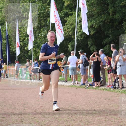 08.09.2024 - Airport Race Strokosch-Dieckow http://msf.ph/oto/6983514 08.09.2024 12:20:48 Ziel 478, 1203, 2594, 2828, 2878, 3056 meine-sportfotos.de