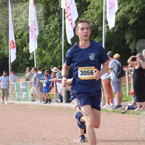 08.09.2024 - Airport Race Strokosch-Dieckow http://msf.ph/oto/6983535 08.09.2024 12:20:53 Ziel 328, 478, 1174, 1203, 2828, 3056 meine-sportfotos.de