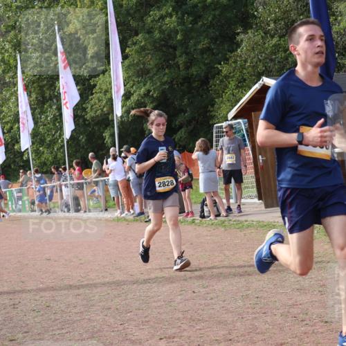 08.09.2024 - Airport Race Strokosch-Dieckow http://msf.ph/oto/6983553 08.09.2024 12:20:54 Ziel 328, 478, 1174, 1203, 2828, 3056 meine-sportfotos.de