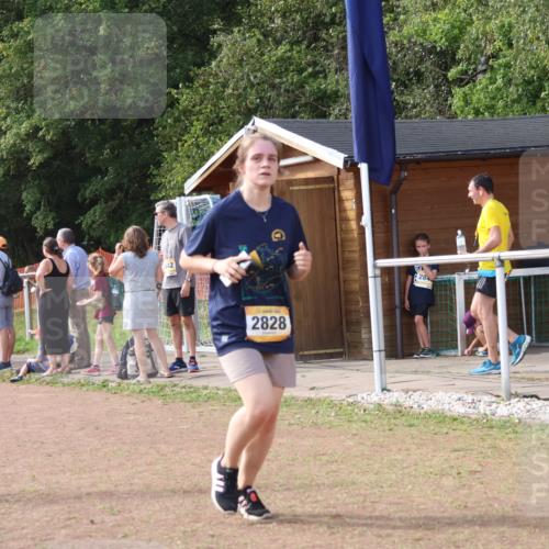 08.09.2024 - Airport Race Strokosch-Dieckow http://msf.ph/oto/6983570 08.09.2024 12:20:55 Ziel 328, 478, 1174, 1203, 1254, 2828 meine-sportfotos.de