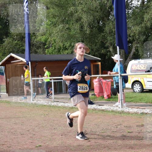 08.09.2024 - Airport Race Strokosch-Dieckow http://msf.ph/oto/6983596 08.09.2024 12:20:56 Ziel 328, 478, 1174, 1203, 1254, 2828 meine-sportfotos.de