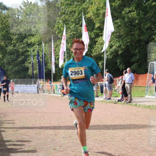 08.09.2024 - Airport Race Strokosch-Dieckow http://msf.ph/oto/6983969 08.09.2024 12:22:09 Ziel 953, 1025, 2550, 2903 meine-sportfotos.de