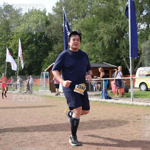 08.09.2024 - Airport Race Strokosch-Dieckow http://msf.ph/oto/6984011 08.09.2024 12:22:16 Ziel 95, 779, 1025, 2550, 2740, 3107 meine-sportfotos.de