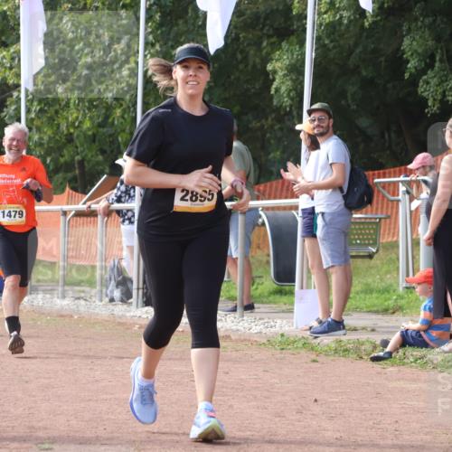 08.09.2024 - Airport Race Strokosch-Dieckow http://msf.ph/oto/6984135 08.09.2024 12:22:30 Ziel 165, 238, 311, 315, 411, 1057, 1124, 1451, 1479, 2894, 2895, 3008 meine-sportfotos.de