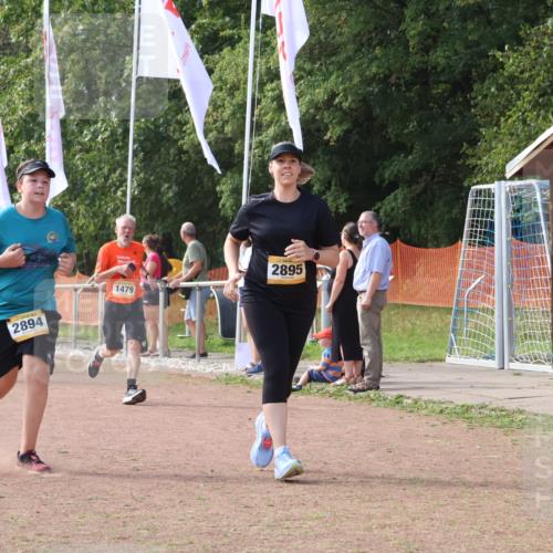 08.09.2024 - Airport Race Strokosch-Dieckow http://msf.ph/oto/6984146 08.09.2024 12:22:31 Ziel 165, 238, 311, 315, 411, 1057, 1124, 1451, 1479, 2894, 2895, 3008 meine-sportfotos.de