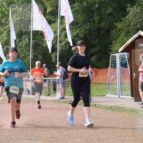 08.09.2024 - Airport Race Strokosch-Dieckow http://msf.ph/oto/6984151 08.09.2024 12:22:32 Ziel 165, 232, 238, 311, 315, 411, 1057, 1124, 1451, 1479, 2761, 2894, 2895, 3008, 3038 meine-sportfotos.de