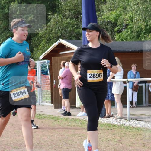 08.09.2024 - Airport Race Strokosch-Dieckow http://msf.ph/oto/6984158 08.09.2024 12:22:33 Ziel 165, 232, 238, 311, 315, 411, 1057, 1124, 1451, 1479, 2761, 2894, 2895, 3008, 3038 meine-sportfotos.de