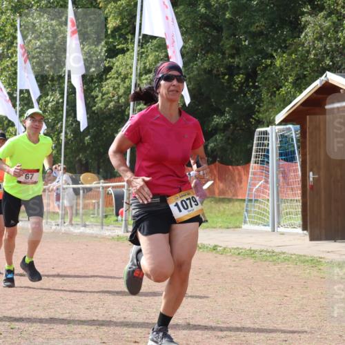 08.09.2024 - Airport Race Strokosch-Dieckow http://msf.ph/oto/6984182 08.09.2024 12:49:15 Ziel 24, 67, 335, 341, 515, 1079, 1487, 1504 meine-sportfotos.de