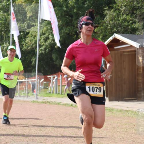 08.09.2024 - Airport Race Strokosch-Dieckow http://msf.ph/oto/6984186 08.09.2024 12:49:15 Ziel 24, 67, 335, 341, 515, 1079, 1487, 1504 meine-sportfotos.de