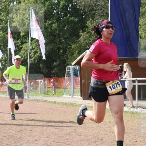 08.09.2024 - Airport Race Strokosch-Dieckow http://msf.ph/oto/6984192 08.09.2024 12:49:16 Ziel 24, 67, 335, 341, 515, 1079, 1487, 1504 meine-sportfotos.de