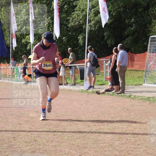 08.09.2024 - Airport Race Strokosch-Dieckow http://msf.ph/oto/6984441 08.09.2024 12:23:15 Ziel 81, 976, 1185, 2573, 2644, 2840 meine-sportfotos.de