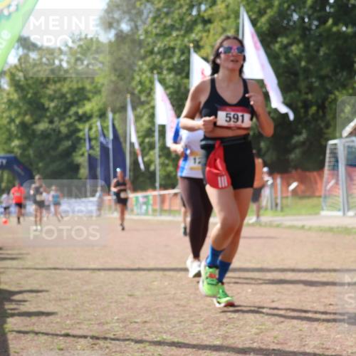 08.09.2024 - Airport Race Strokosch-Dieckow http://msf.ph/oto/6984764 08.09.2024 12:50:40 Ziel 282, 534, 591, 654, 1001, 1010, 1232 meine-sportfotos.de