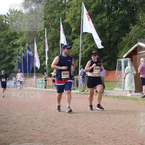 08.09.2024 - Airport Race Strokosch-Dieckow http://msf.ph/oto/6984986 08.09.2024 12:25:15 Ziel 28, 207, 291, 292, 399, 2588, 2589, 3009 meine-sportfotos.de