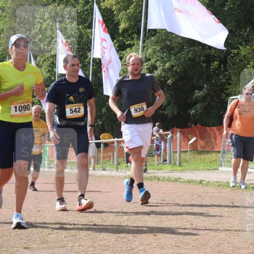 08.09.2024 - Airport Race Strokosch-Dieckow http://msf.ph/oto/6985019 08.09.2024 12:52:10 Ziel 463, 542, 930, 971, 1090, 1226, 1312 meine-sportfotos.de