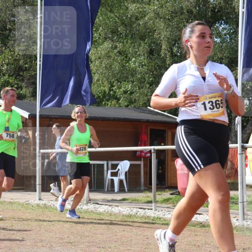 08.09.2024 - Airport Race Strokosch-Dieckow http://msf.ph/oto/6985117 08.09.2024 12:52:33 Ziel 96, 322, 454, 844, 891, 1037, 1170, 1328, 1365, 1389, 1511 meine-sportfotos.de