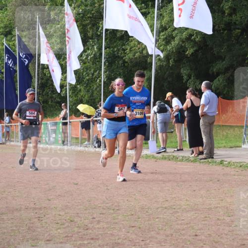 08.09.2024 - Airport Race Strokosch-Dieckow http://msf.ph/oto/6985193 08.09.2024 12:26:08 Ziel 567, 584, 1399, 2817, 3109 meine-sportfotos.de