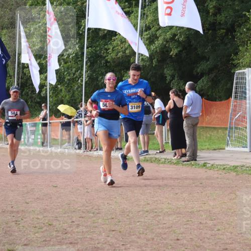 08.09.2024 - Airport Race Strokosch-Dieckow http://msf.ph/oto/6985195 08.09.2024 12:26:08 Ziel 567, 584, 1399, 2817, 3109 meine-sportfotos.de