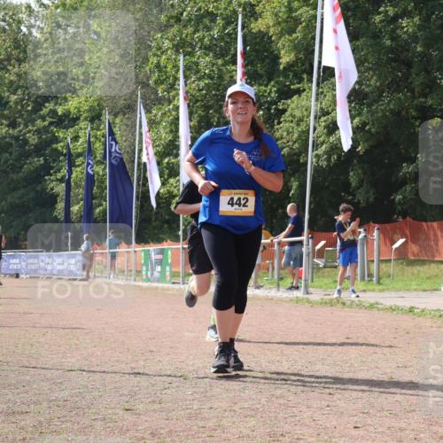 08.09.2024 - Airport Race Strokosch-Dieckow http://msf.ph/oto/6985405 08.09.2024 12:53:38 Ziel 140, 382, 388, 442, 509 meine-sportfotos.de