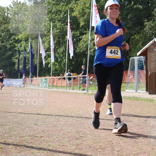 08.09.2024 - Airport Race Strokosch-Dieckow http://msf.ph/oto/6985411 08.09.2024 12:53:39 Ziel 140, 382, 388, 442 meine-sportfotos.de