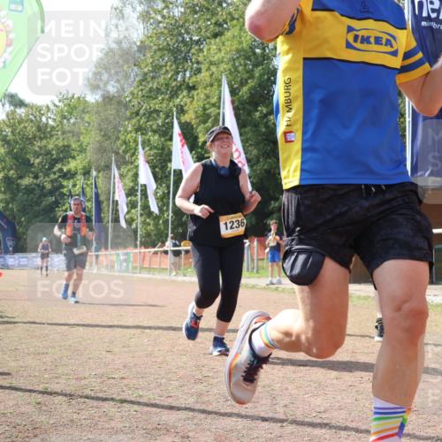 08.09.2024 - Airport Race Strokosch-Dieckow http://msf.ph/oto/6985450 08.09.2024 12:53:48 Ziel 382, 388, 469, 1236 meine-sportfotos.de